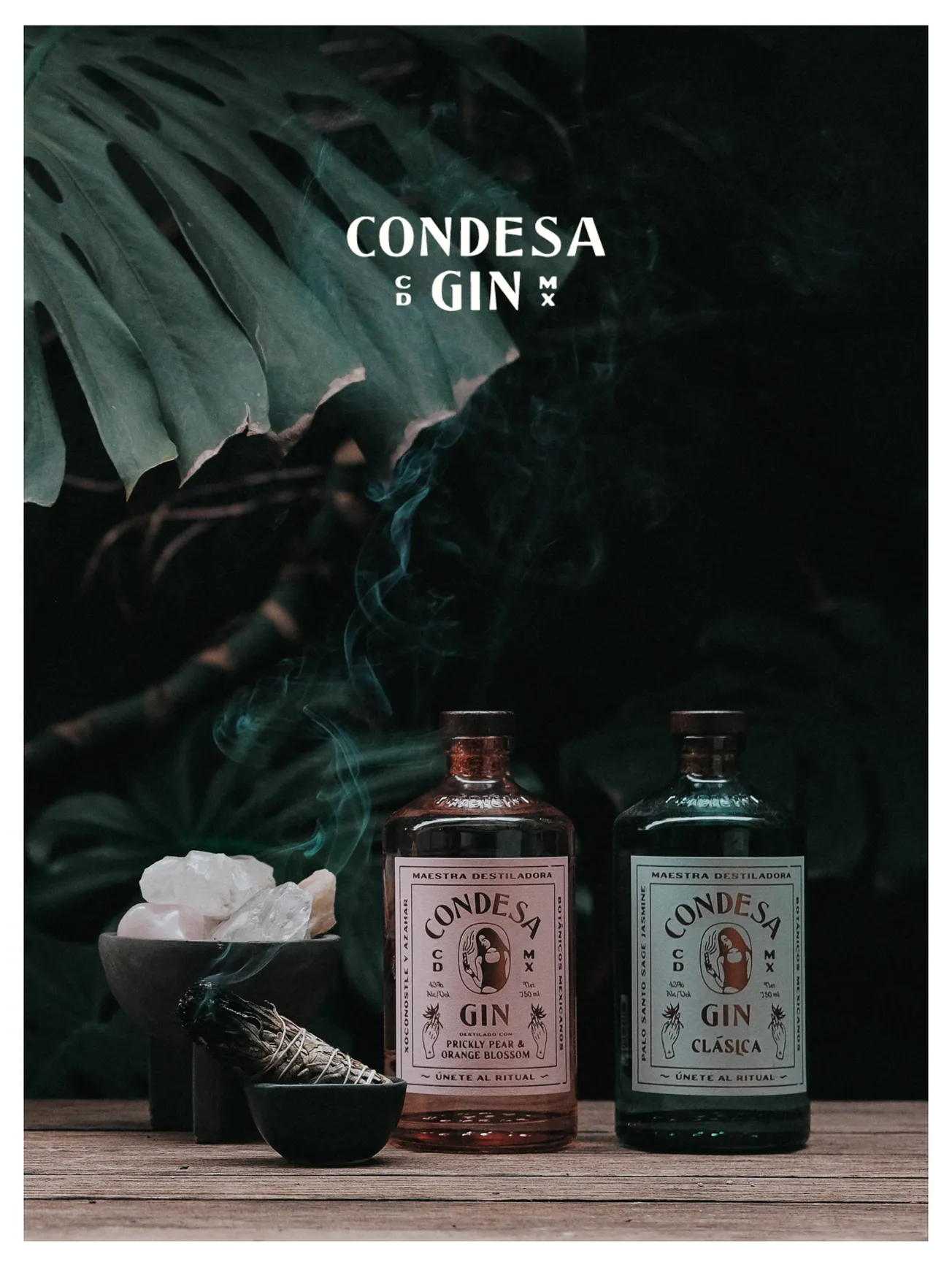 Spirit of Gallo adds Conesa Gin to portfolio