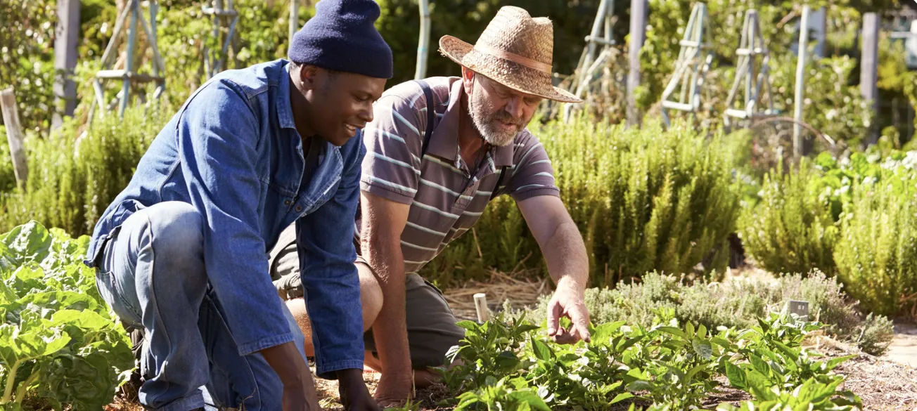 Aetna invests $235,000 to urban farms in Chicago area