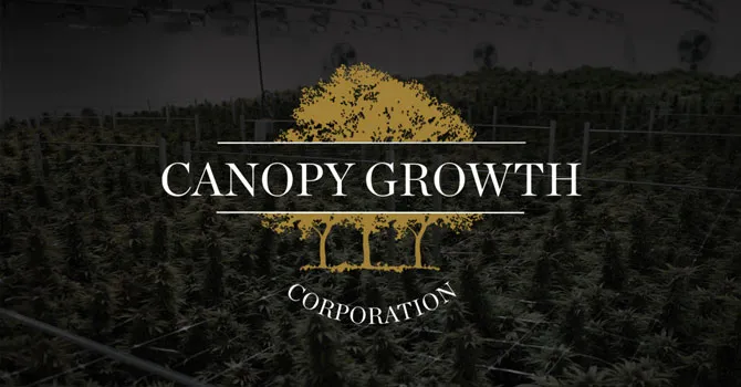 NHL Alumni Association teams up with Canopy Growth to research concussions and CBD