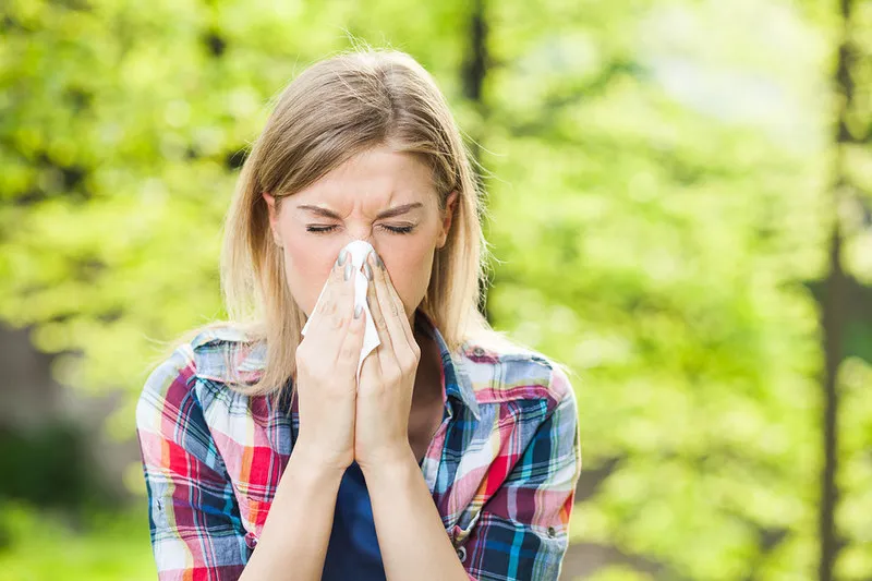 FEBC offers advice for allergy season