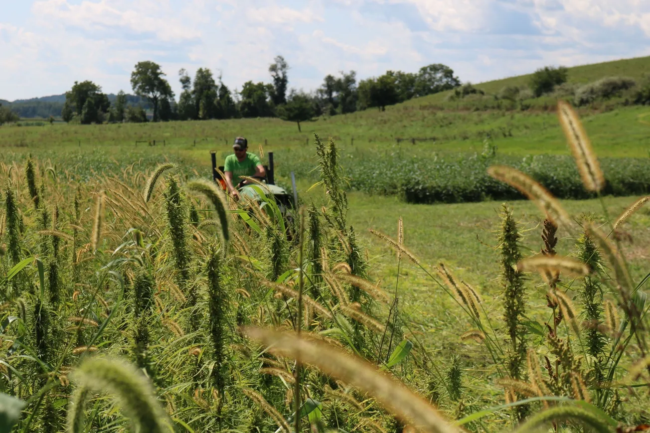 Charlotte’s Web announces new initiative with Rodale Institute and Natural Care