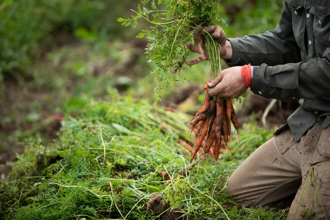 Kellogg Co.,  Meijer invest to help build a strong pipeline of younger farmers in the Midwest