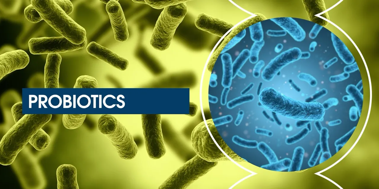 Probiotic ingredients market to hit $14.7 nillion by 2036